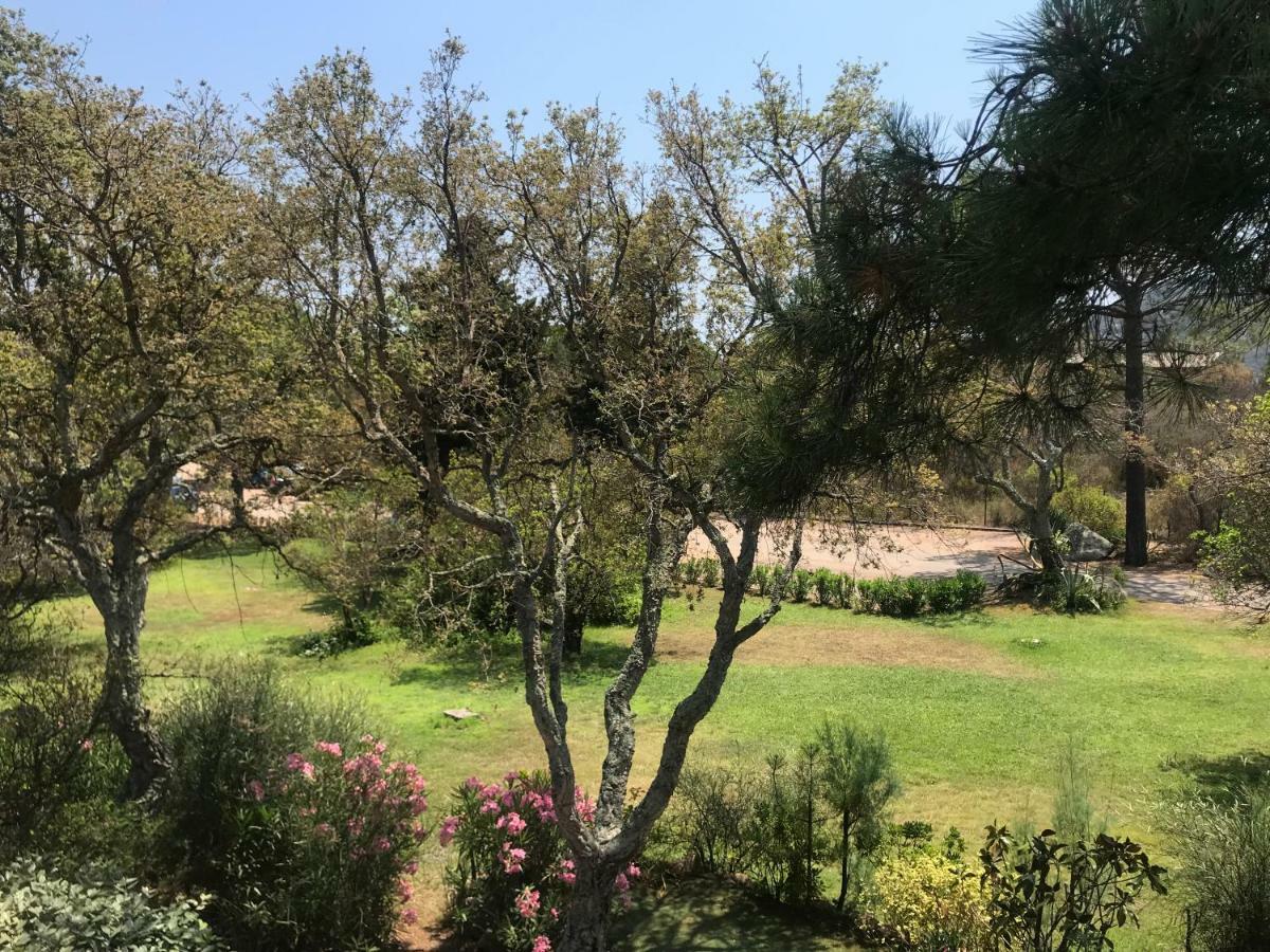 Porto-Vecchio Baie Santa Giulia Appartement Une Chambre 4-5 Personnes Екстериор снимка