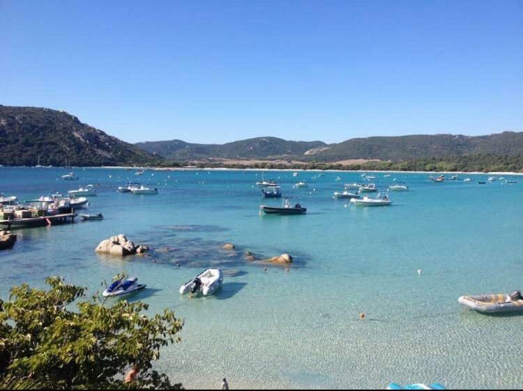 Porto-Vecchio Baie Santa Giulia Appartement Une Chambre 4-5 Personnes Екстериор снимка